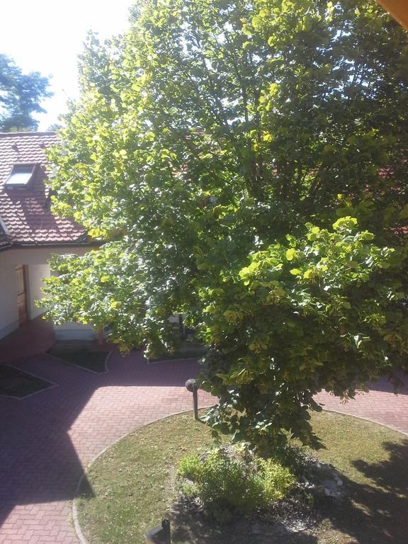 Apartment Nagelj Moravske-Toplice Εξωτερικό φωτογραφία